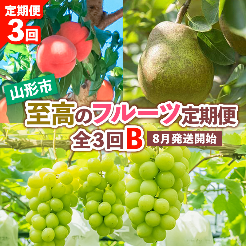 【定期便3回】山形市至高のフルーツ定期便 全3回B 8月発送開始 【令和7年産先行予約】FS24-760