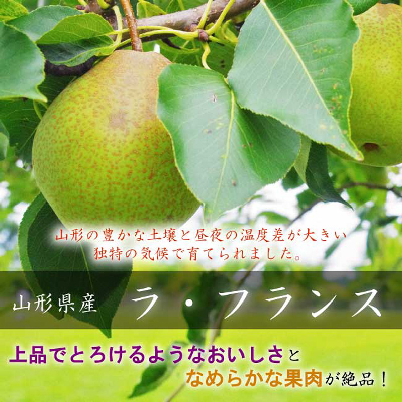 【定期便3回】山形市至高のフルーツ定期便 全3回B 8月発送開始 【令和7年産先行予約】FS24-760