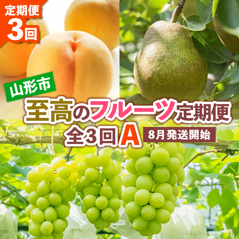 【定期便3回】山形市至高のフルーツ定期便 全3回A 8月発送開始 【令和7年産先行予約】FS24-761