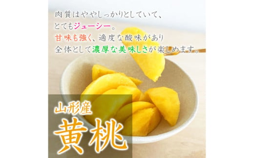 【定期便3回】山形市至高のフルーツ定期便 全3回A 8月発送開始【令和8年産先行予約】FS24-761