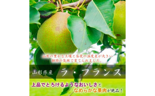 【定期便3回】山形市至高のフルーツ定期便 全3回A 8月発送開始 【令和7年産先行予約】FS24-761