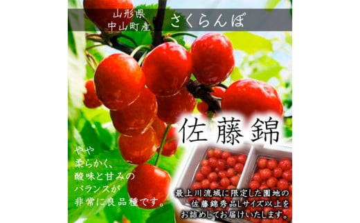 【定期便3回】山形市至高のフルーツ定期便 全3回C 6月発送開始 【令和7年産先行予約】FS24-762