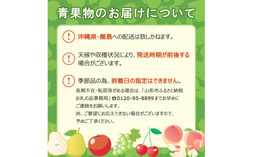 【定期便3回】山形夏から冬の人気果物ベスト3！ フルーツ定期便 【令和7年産先行予約】FS24-765