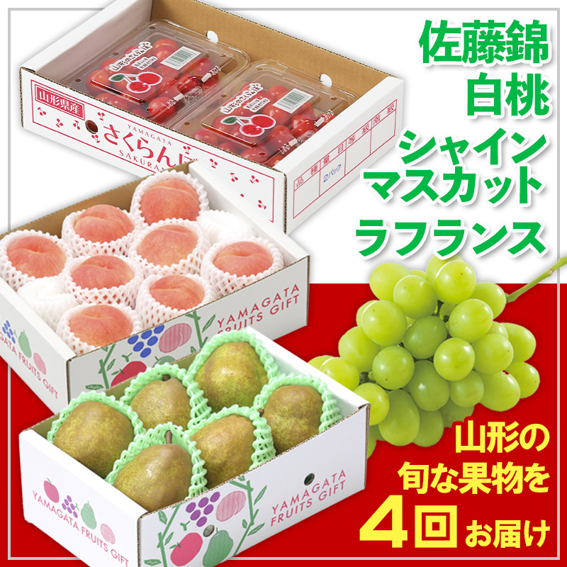【定期便4回】☆フルーツ王国山形☆佐藤錦・白桃・シャインマスカット・ラフランス 【令和8年産先行予約】FS25-675