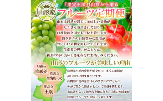 【定期便4回】☆フルーツ王国山形☆白桃・シャインマスカット・ラフランス・りんご 【令和8年産先行予約】FS24-773