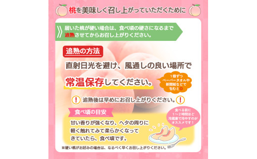 【定期便4回】☆フルーツ王国山形☆和なし・白桃・ラフランス・りんご 【令和7年産先行予約】FS24-774