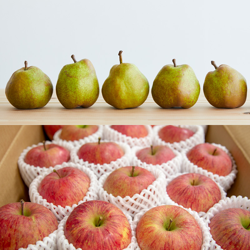 【定期便5回】★ファミリー向け★みんなでわいわい！山形のフルーツ定期便 【令和8年産先行予約】FS25-657