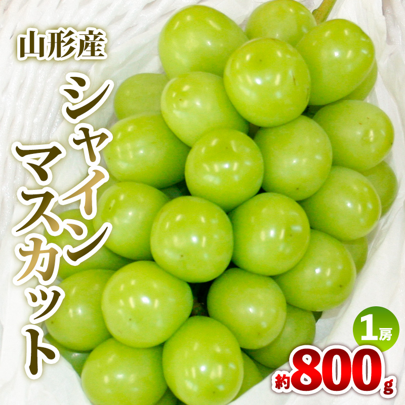 山形産 シャインマスカット 約800g 1房 秀品 【令和7年産先行予約】FS24-731