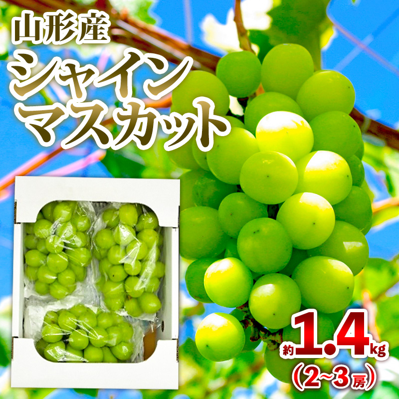 山形産 シャインマスカット 約1.4kg (2～3房) 秀品 【令和7年産先行予約】FS24-733