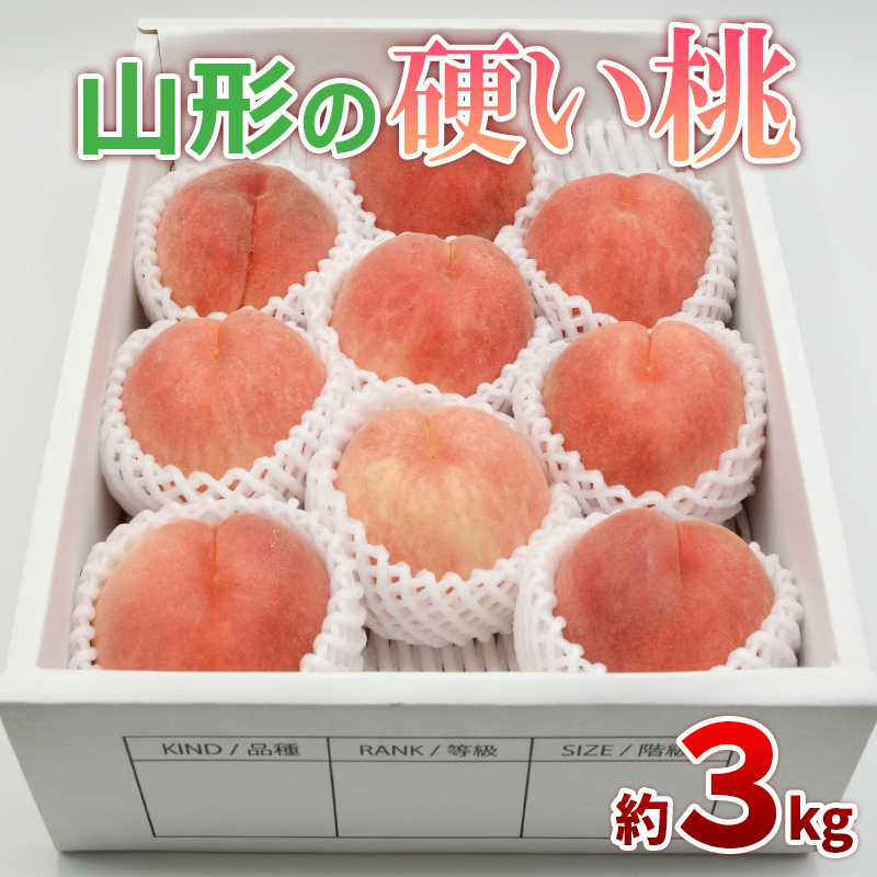 山形の硬い桃 秀品 約3kg(5～13玉) [固い桃] 【令和8年産先行予約】FS25-633
