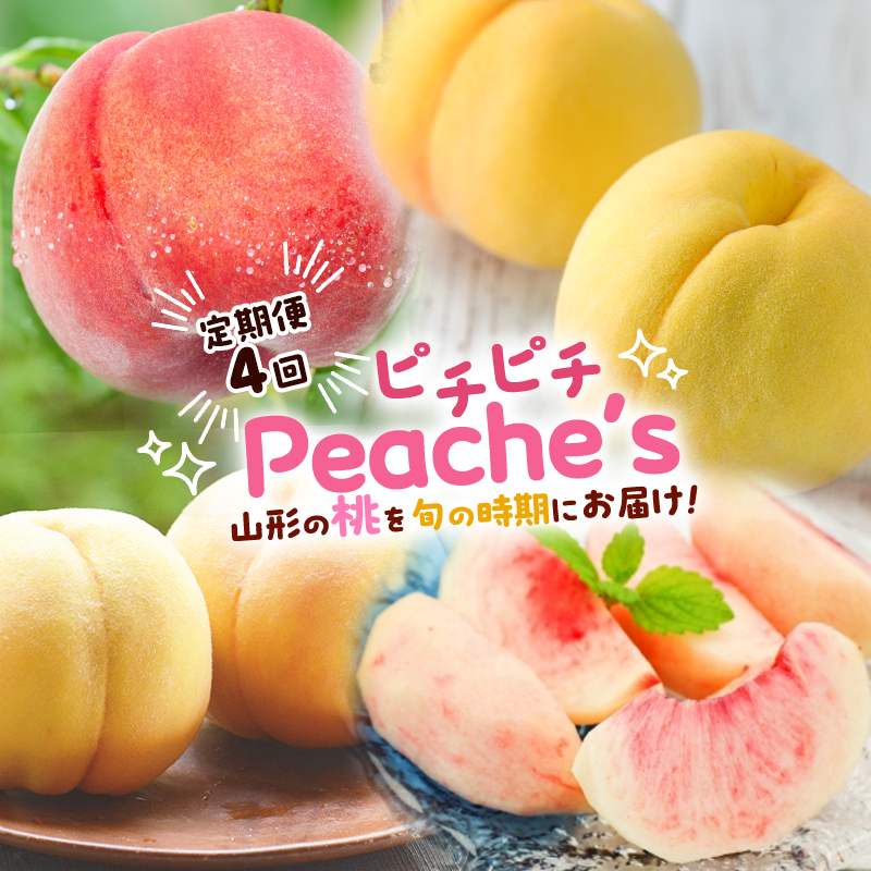 【定期便4回】ピチピチPeache's 【令和7年産先行予約】FS24-742