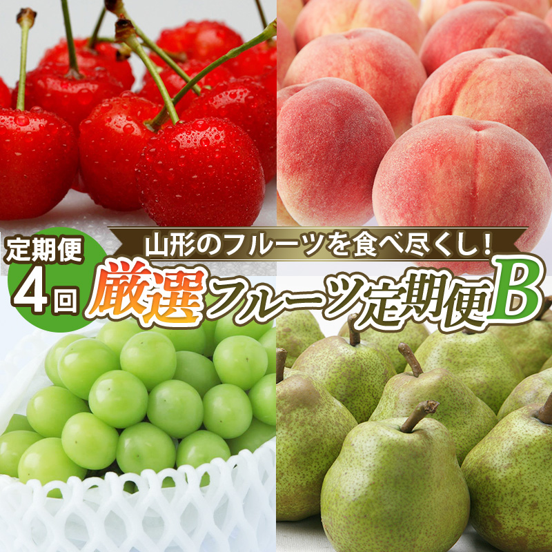 【定期便4回】山形のフルーツを食べ尽くし！厳選フルーツ定期便B 【令和7年産先行予約】FS24-799