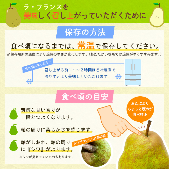 【定期便4回】山形のフルーツを食べ尽くし！厳選フルーツ定期便E 【令和7年産先行予約】FS24-802