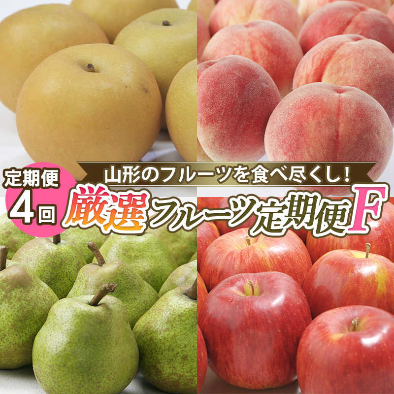 【定期便4回】山形のフルーツを食べ尽くし！厳選フルーツ定期便F 【令和7年産先行予約】FS24-803