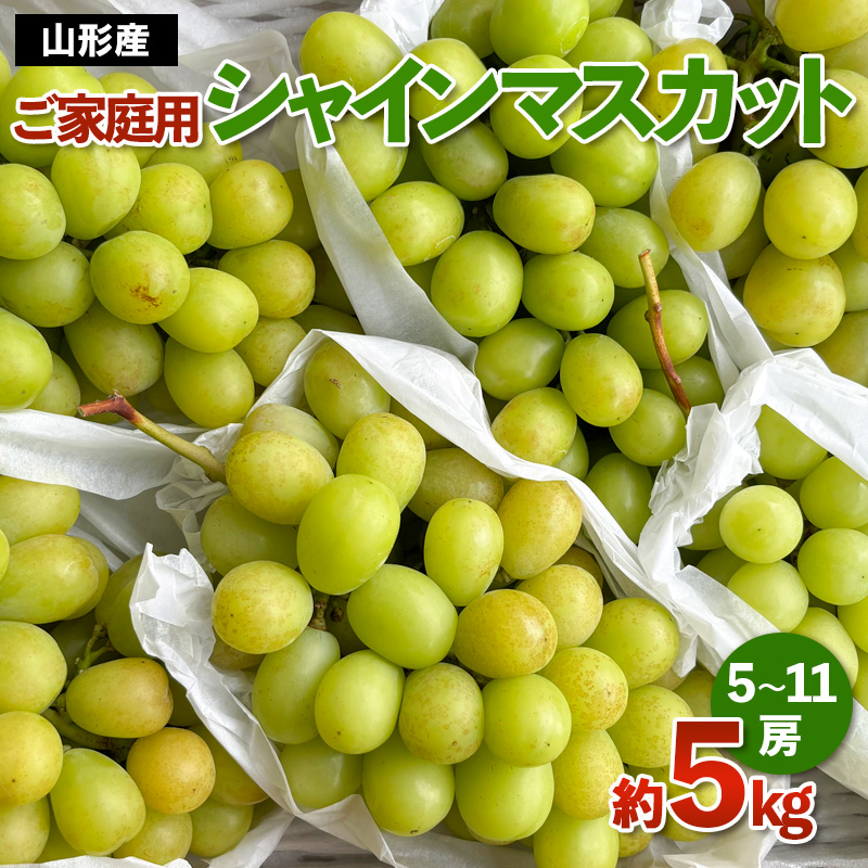 [ご家庭用]山形産 シャインマスカット 約5kg (5房～11房） 【令和7年産先行予約】FS24-749