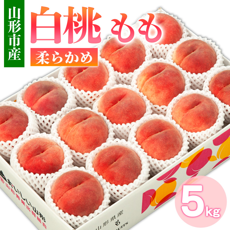 山形市産 白桃 もも 5kg 柔らかめ(10～16玉) 【令和7年産先行予約】FS24-752