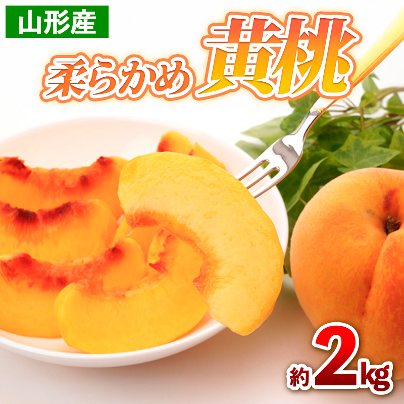 山形産 柔らかめ 黄桃 約2kg(4～9玉) 【令和7年産先行予約】FS24-704