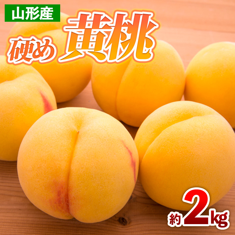 山形産 硬め 黄桃 約2kg(4～9玉) 【令和7年産先行予約】FS24-707