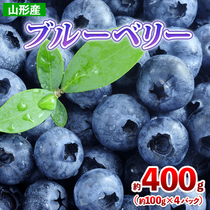 山形産 ブルーベリー 約400g(約100g×4パック) 【令和7年産先行予約】FS24-787