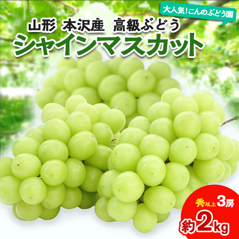 大人気！【こんのぶどう園】山形本沢産 高級ぶどう シャインマスカット 3房 【令和7年産先行予約】フルーツ くだもの 果物 山形 山形県 山形市 ぶどう 葡萄 ブドウ セット 2025年産 【令和7年産先行予約】FS24-713