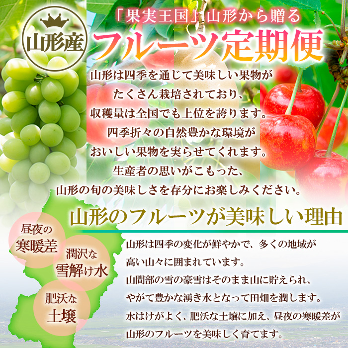 【定期便5回】ノノハナフルーツさくらんぼからラ・フランスまで 【産地直送】 おいしい山形定期便 【令和7年産先行予約】FS24-717