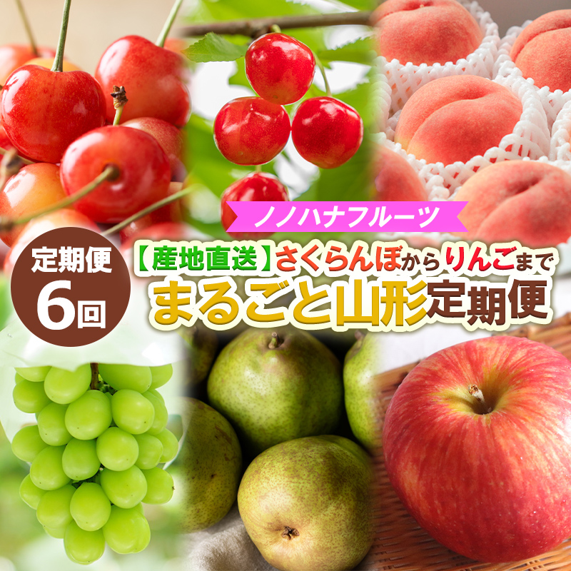 【定期便6回】ノノハナフルーツ さくらんぼからりんごまで 【産地直送】 まるごと山形定期便 【令和7年産先行予約】FS24-719