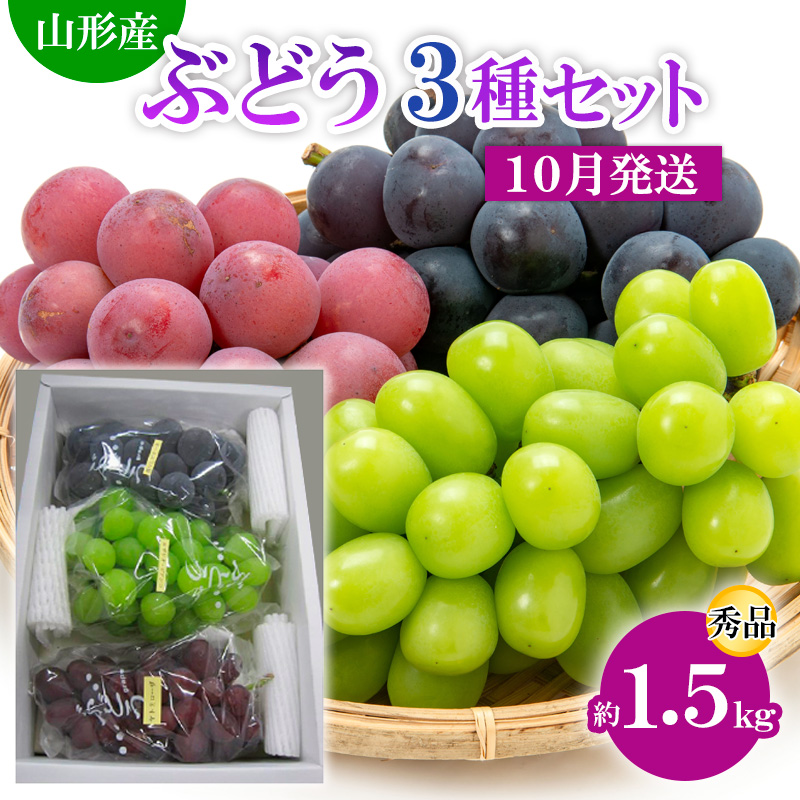 山形市産 ぶどう3種セット 秀 約1.5kg[10月発送] 【令和7年産先行予約】FS24-812