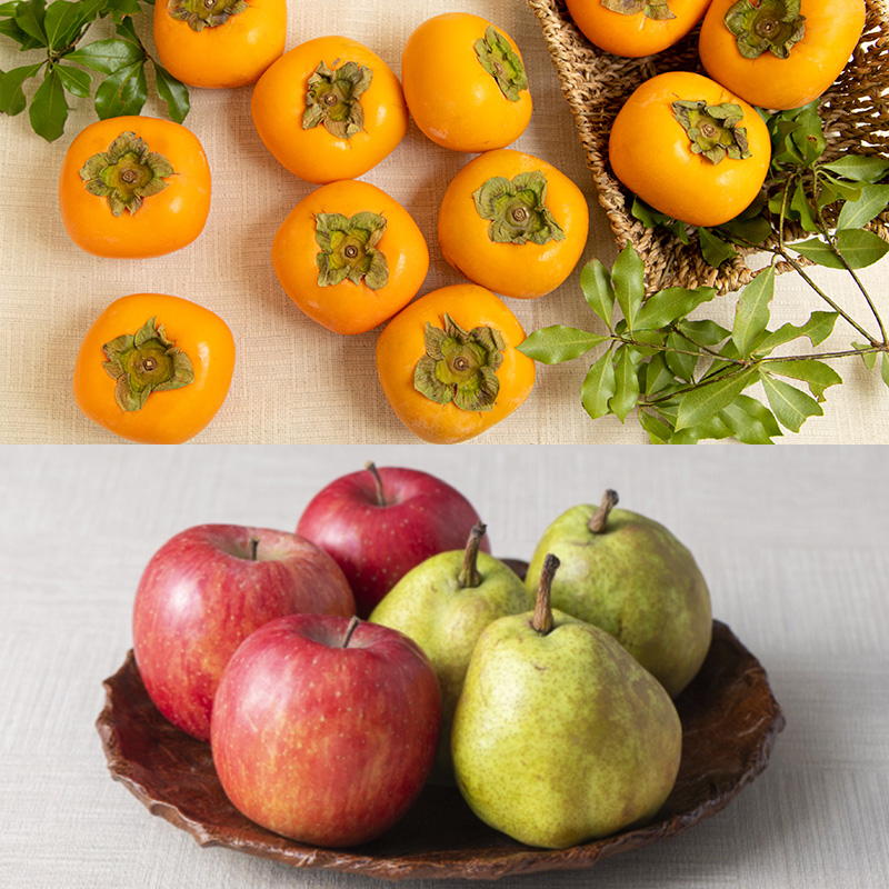 【定期便4回】ほっこり秋冬フルーツ５種便【令和8年産先行予約】FS24-810