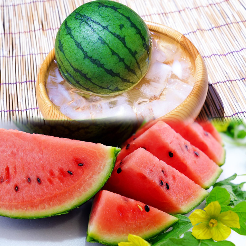 【定期便3回】山形旬果 3種 らんまん【令和8年産先行予約】FS24-811