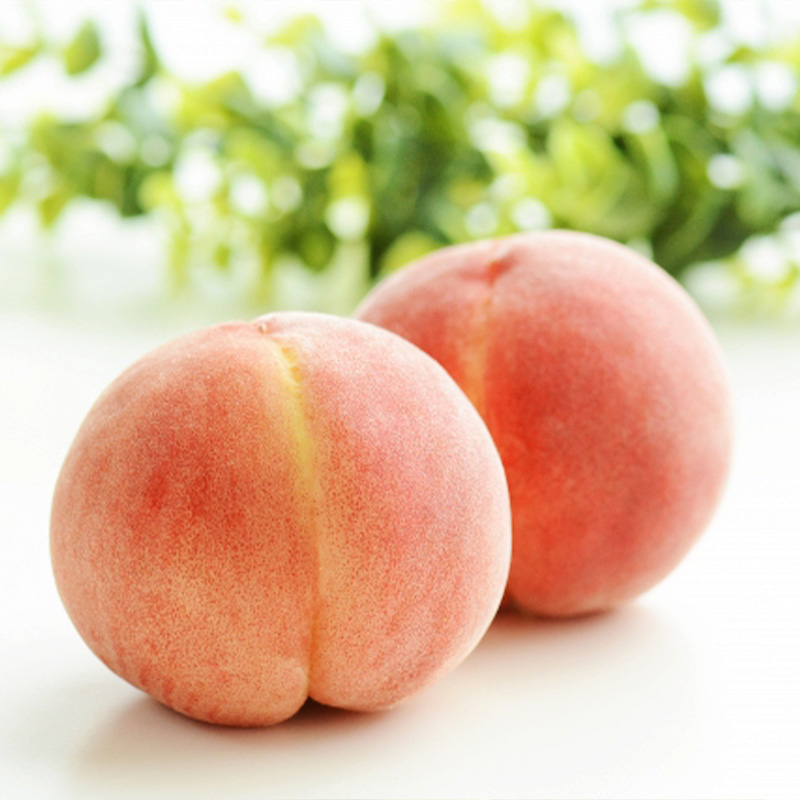 【定期便3回】山形旬果 3種 らんまん【令和8年産先行予約】FS24-811