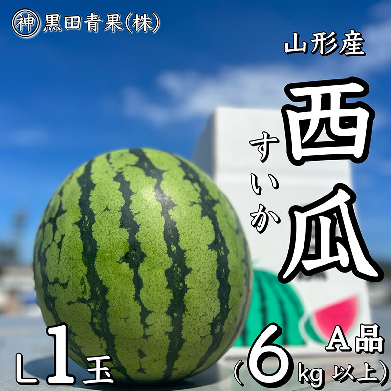 山形産 西瓜(すいか) L 1玉(6kg以上) 【令和7年産先行予約】FU23-060