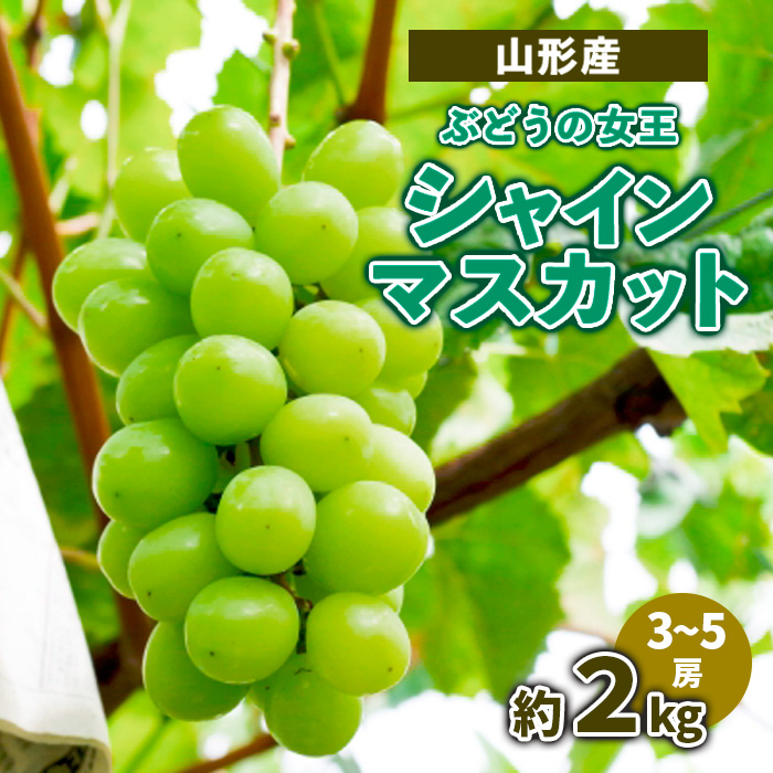 山形産 ぶどうの女王 シャインマスカット 約2kg(3～5房) 【令和7年産先行予約】FS23-715