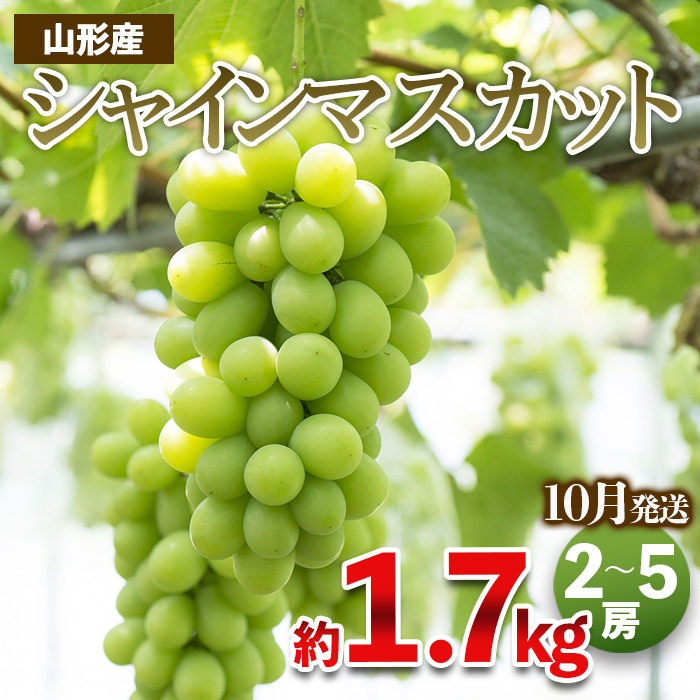 やまがたのぶどう シャインマスカット 秀品 約1.7kg(2～5房程度) [10月発送]　 【令和7年産先行予約】FS23-755