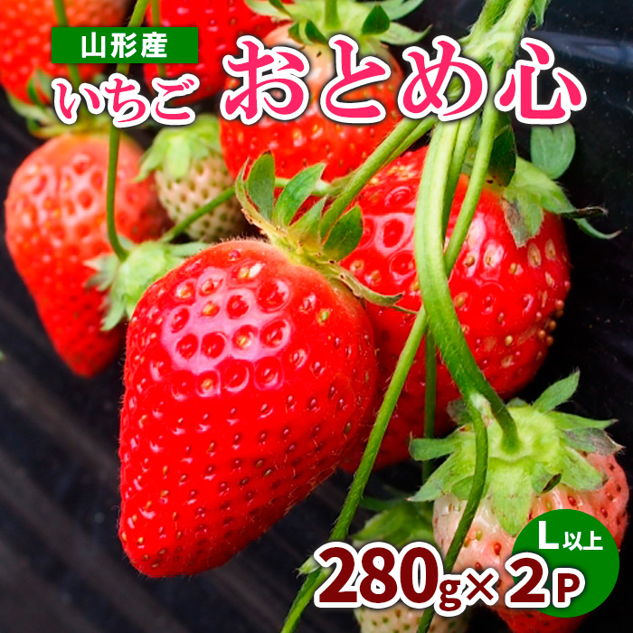 いちご『おとめ心』秀 560g(280g×2P) L以上 【令和7年産先行予約】FS23-783