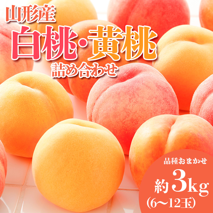 やまがたの桃(白桃・黄桃詰合せ)  品種お任せ 白桃＆黄桃 秀品 約3kg(6～12玉程度) 【令和8年産先行予約】FS23-813