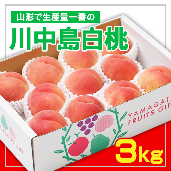 ☆フルーツ王国山形☆ 白桃 秀品3kg [山形で生産量1番の 川中島白桃 ] 【令和7年産先行予約】FS23-825