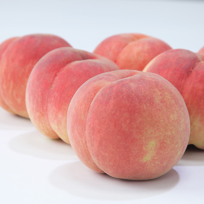 ☆フルーツ王国山形☆ 白桃 秀品3kg [山形で生産量1番の 川中島白桃 ]【令和8年産先行予約】FS23-825