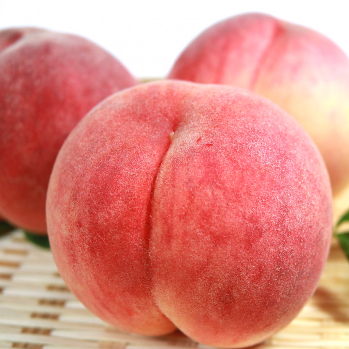 ☆フルーツ王国山形☆[ご家庭用] 白桃 〇秀品 3kg [やわらかくなる桃] 8月お届け【令和8年産先行予約】FS23-826