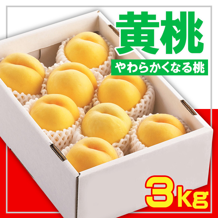 ☆フルーツ王国山形☆黄桃秀品 3kg [やわらかくなる桃]【令和8年産先行予約】FS23-828