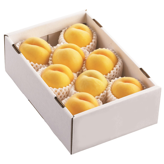 ☆フルーツ王国山形☆黄桃秀品 3kg [やわらかくなる桃]【令和8年産先行予約】FS23-828