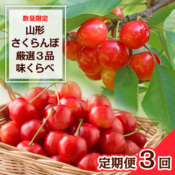 【定期便3回】数量限定 山形さくらんぼ 厳選3品味くらべ 【令和8年産先行予約】FS23-865