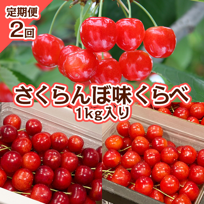 【定期便2回】さくらんぼ 味くらべ 1kg入り 【令和7年産先行予約】FS23-866