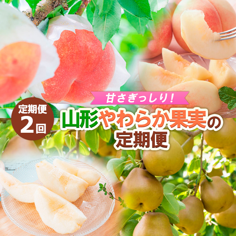 【定期便2回】甘さぎっしり！山形やわらか果実の定期便 【令和8年産先行予約】FS24-013