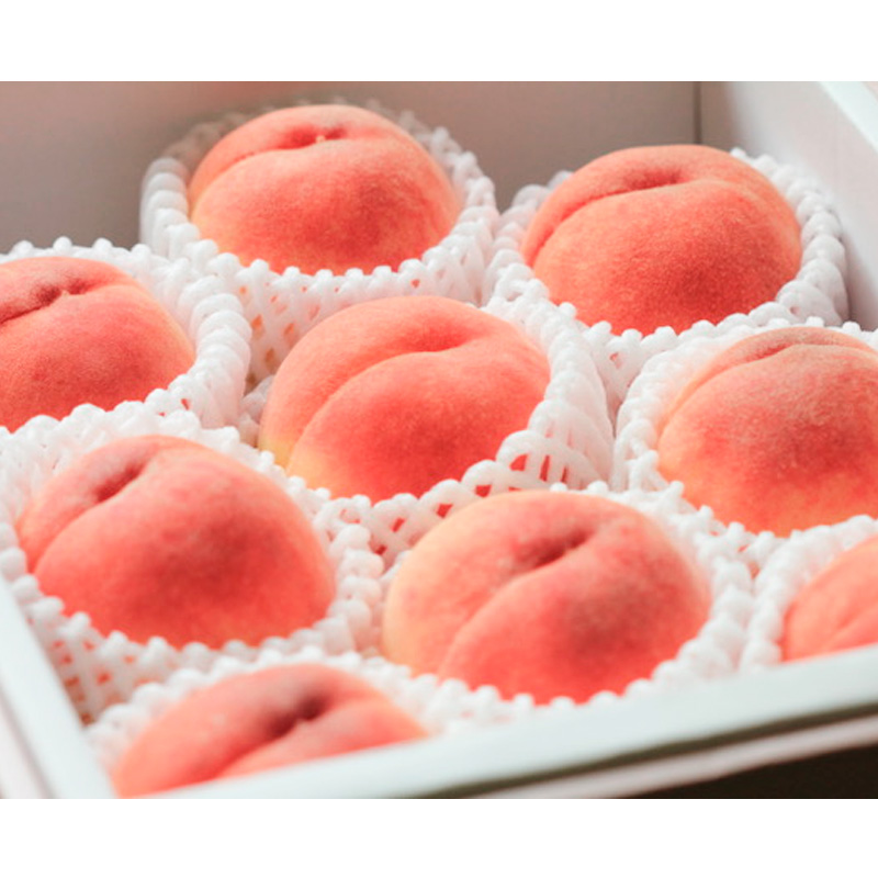 【定期便2回】甘さぎっしり！山形やわらか果実の定期便 【令和8年産先行予約】FS24-013