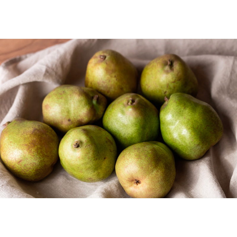 【定期便2回】甘さぎっしり！山形やわらか果実の定期便 【令和8年産先行予約】FS24-013