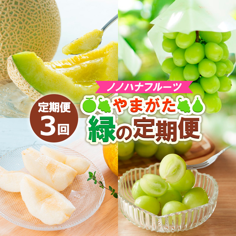 【定期便3回】ノノハナフルーツ やまがた緑の定期便【令和8年産先行予約】 FS24-016