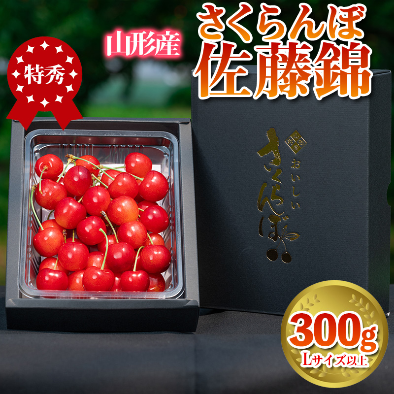 さくらんぼ 「佐藤錦」 300g 特秀品 Lサイズ以上 山形産【令和7年産先行予約】 FS24-032