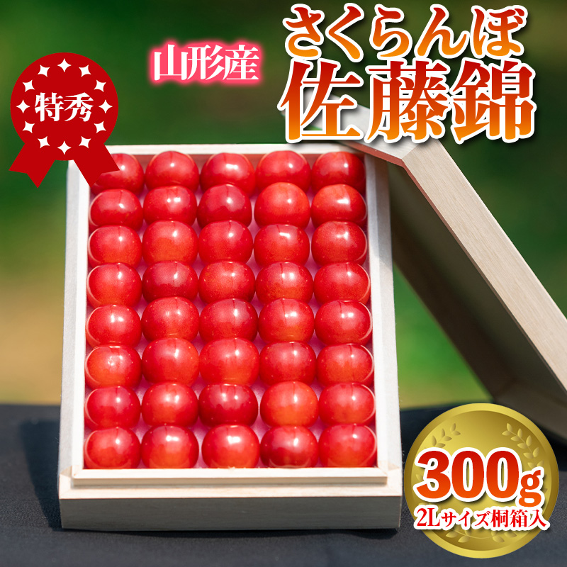 さくらんぼ 「佐藤錦」 300g 特秀品 2Lサイズ 桐箱入 山形産【令和7年産先行予約】  FS24-033