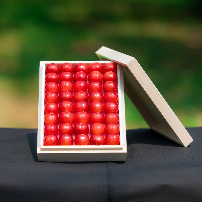 さくらんぼ 「佐藤錦」 300g 特秀品 2Lサイズ 桐箱入 山形産【令和8年産先行予約】  FS24-033