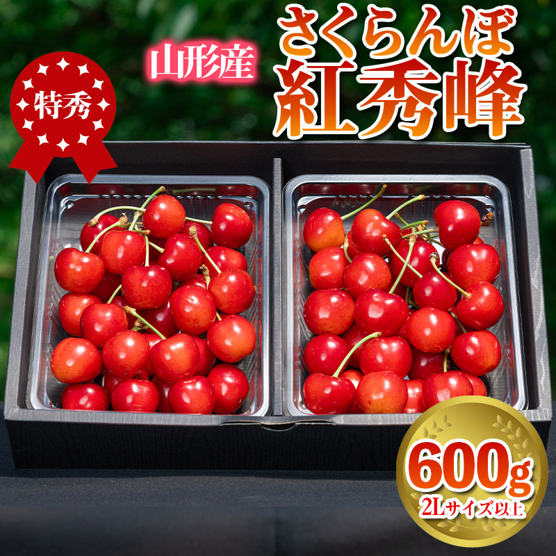さくらんぼ 「紅秀峰」 600g 特秀品 2Lサイズ以上 山形産【令和8年産先行予約】 FS24-037